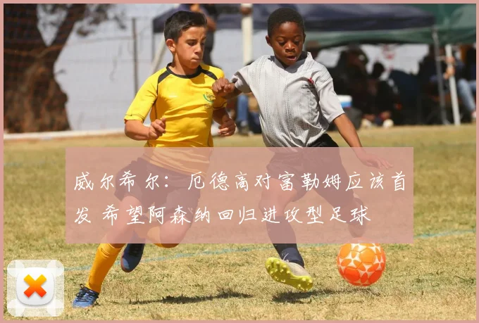 威尔希尔：厄德高对富勒姆应该首发 希望阿森纳回归进攻型足球